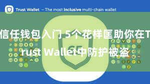 信任钱包入门 5个花样匡助你在Trust Wallet中防护被盗