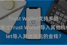 Trust Wallet支持多链下载 奈何通过Trust Wallet导入其他钱包的金钱？